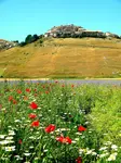 The first thing that will strike you in Le Marche is the wonderful bucolic landscape. Then, over the next few days this Marche itinerary will enchant you with..