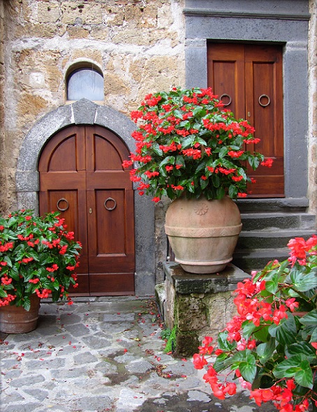 Flowers in Civita di Bagnoregio, Italy