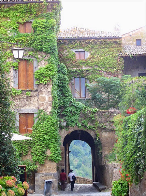 Ivy coverered building