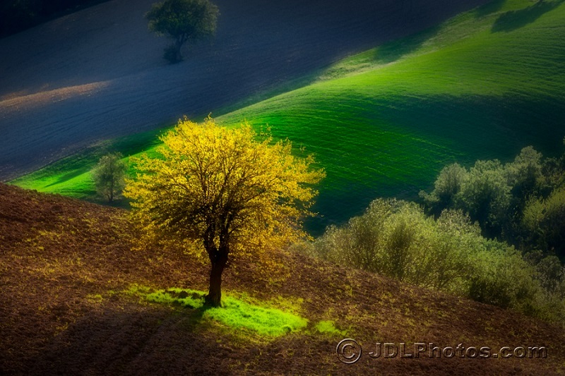 Hills of Le Marche