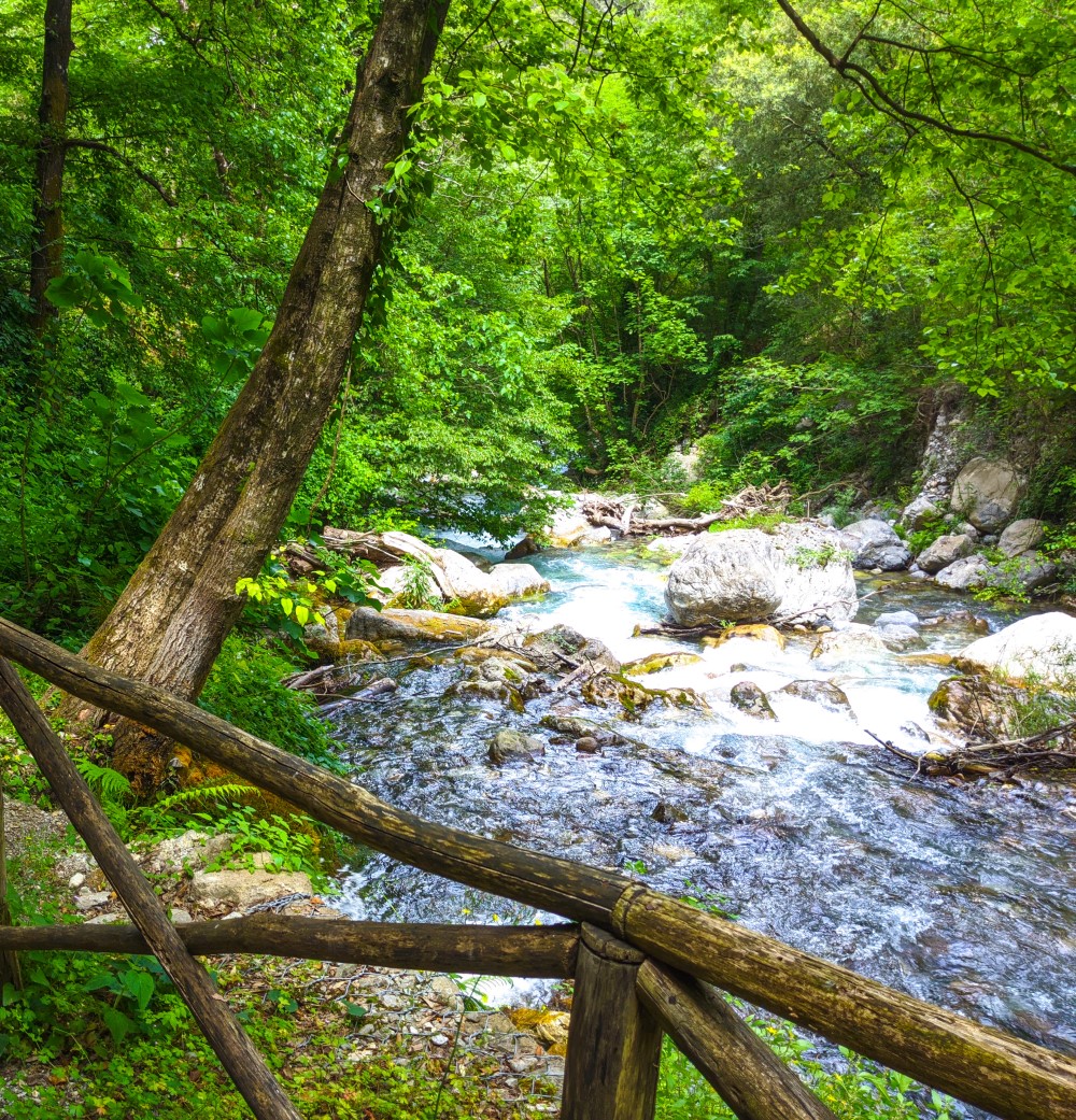 River near Orsomarso River near Orsomarso