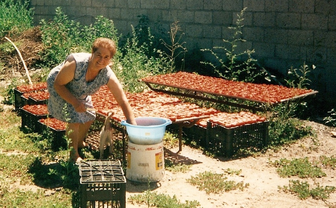 Zia Angelina making sundried tomatoes in Sardinia Zia Angelina making sundried tomatoes in Sardinia