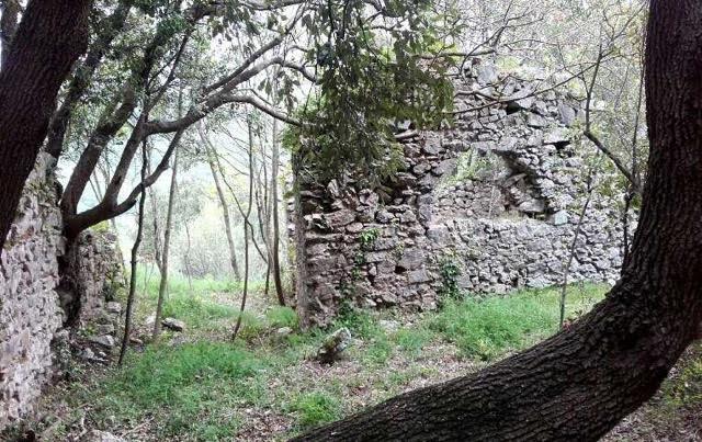 Abandoned castle in the forest