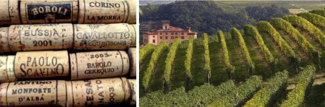 Langhe Wine Region Langhe Wine Region
