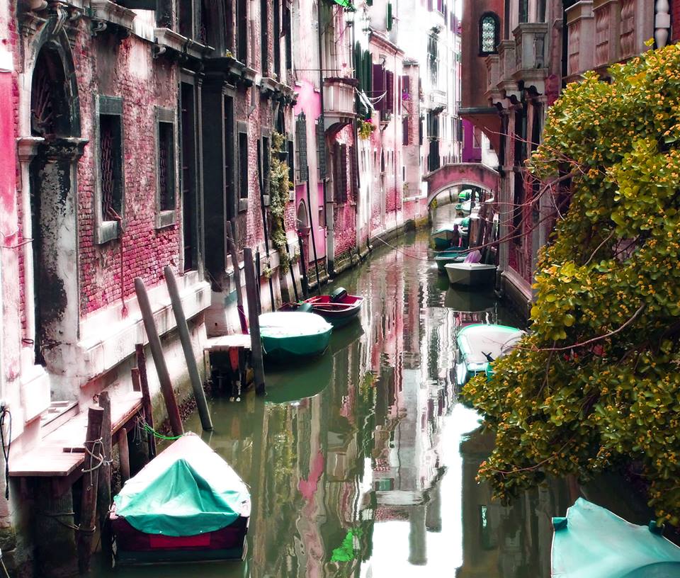 Pink Venice