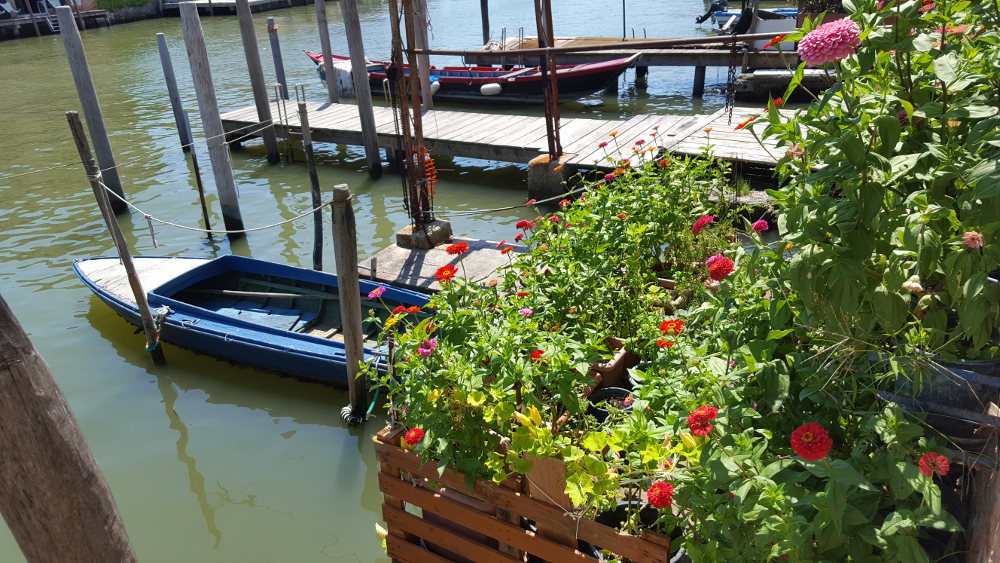 Boats and flowers on the San Pietro di Castello canal. Boats and flowers on the San Pietro di Castello canal.