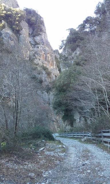 Mountain Road - Calabria