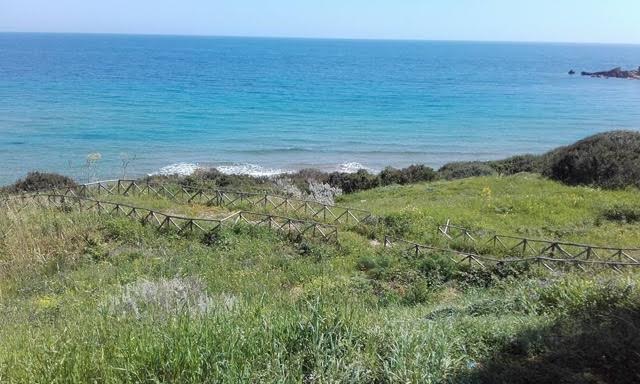 Walkways to the Beach