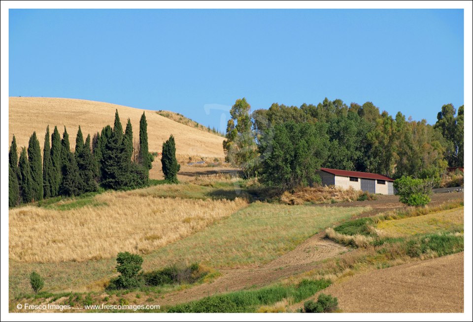 Sicilian Countryside