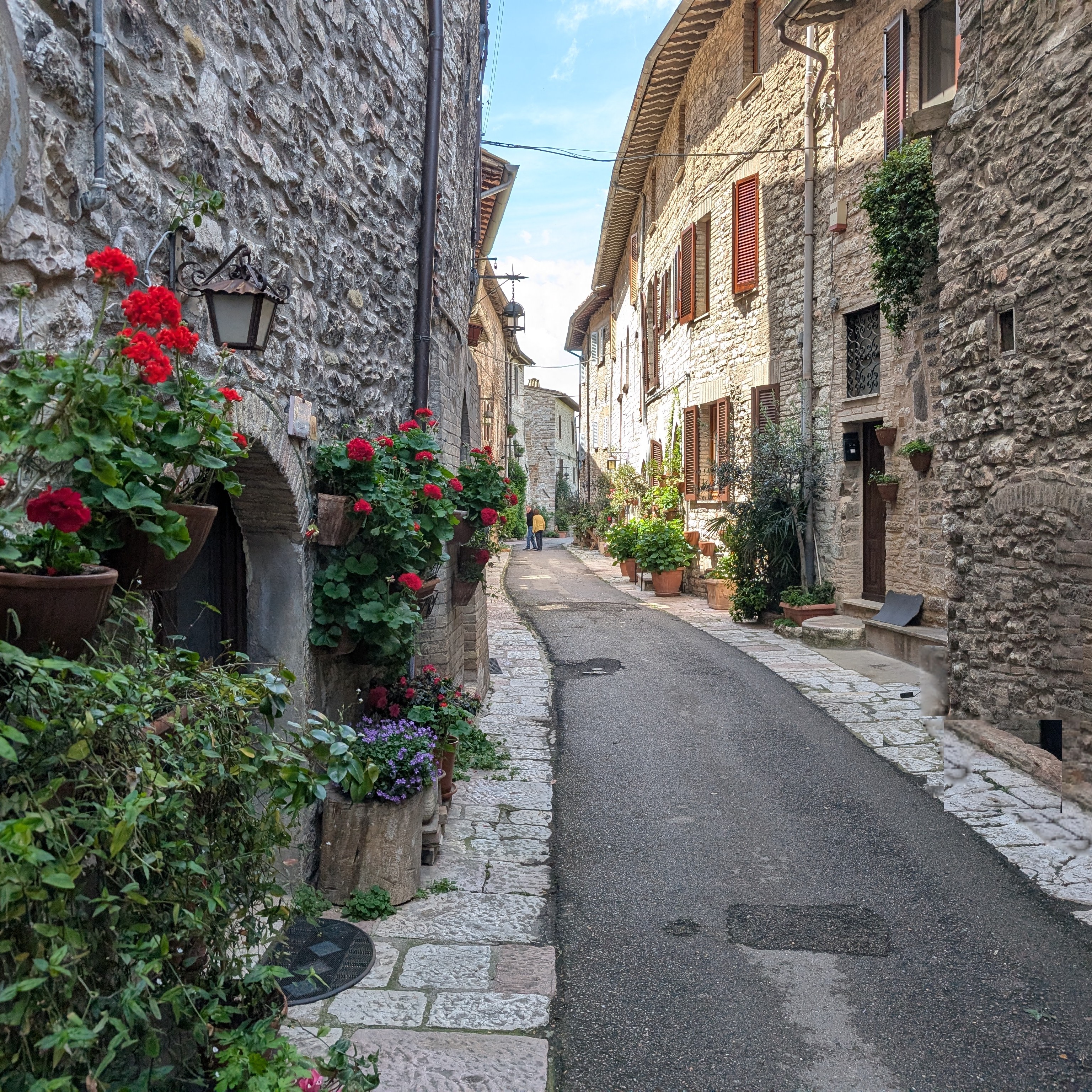 Flower Filled Street in Assis