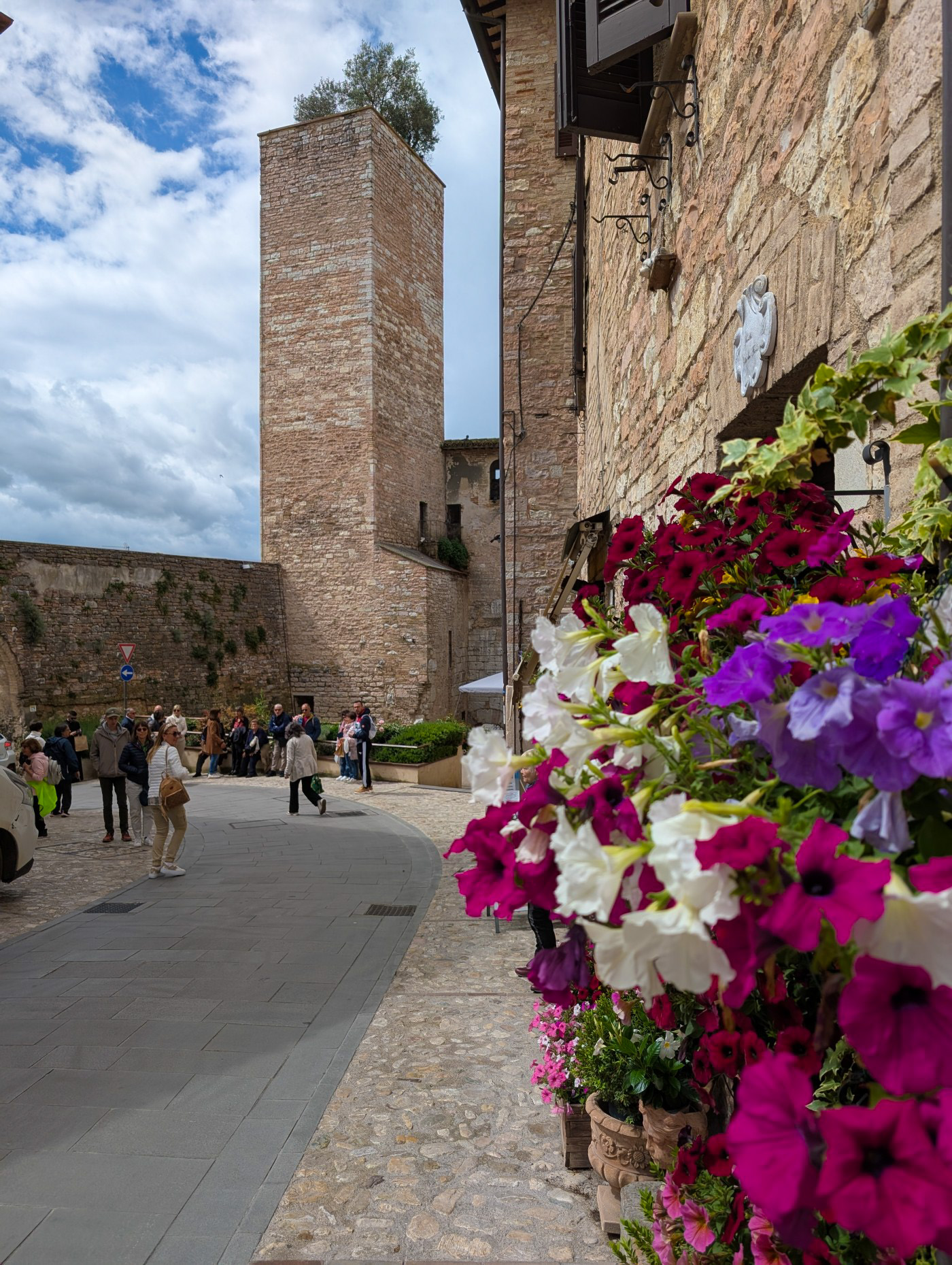 Spello flowers and tower