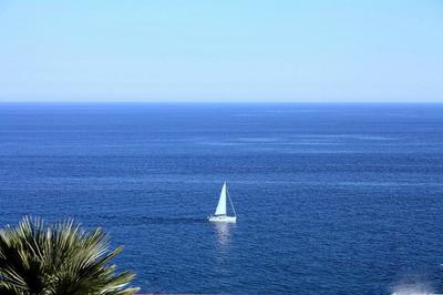Sailing the Ligurian Seas