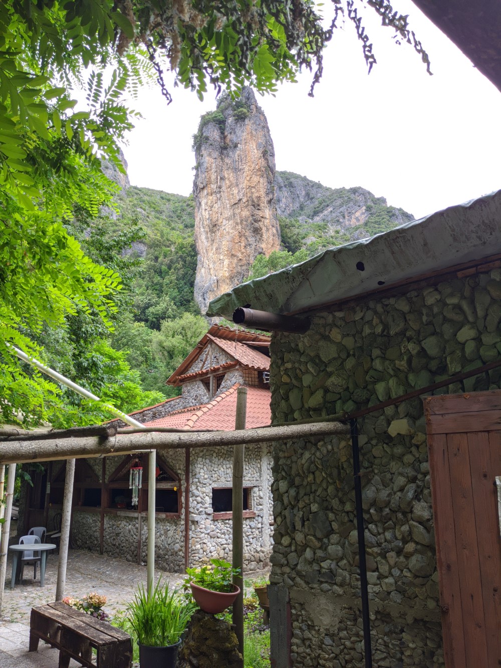 Restaurant near Orsomarso Restaurant near Orsomarso