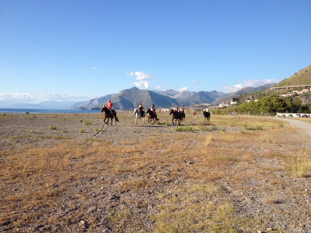 Horses in Calabria