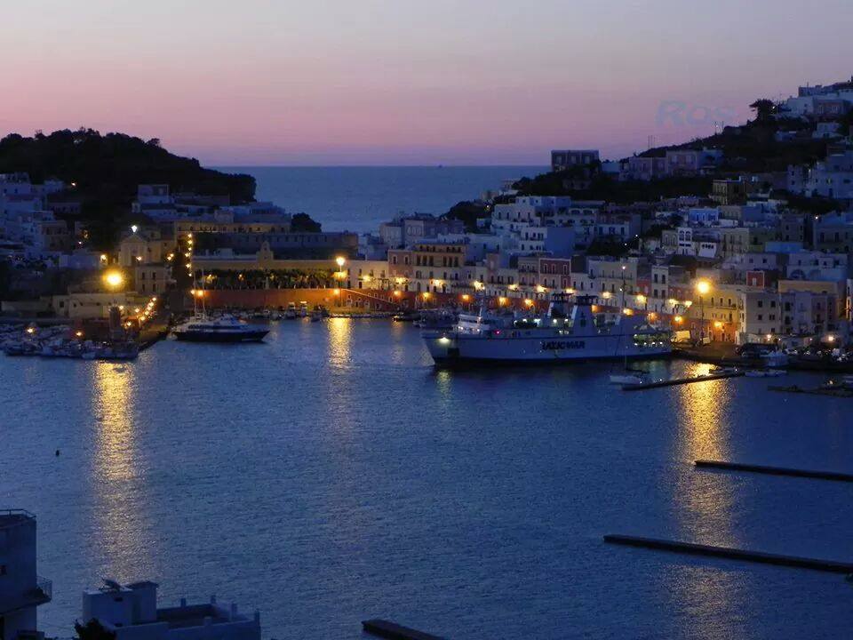 The Harbour at Ponza
