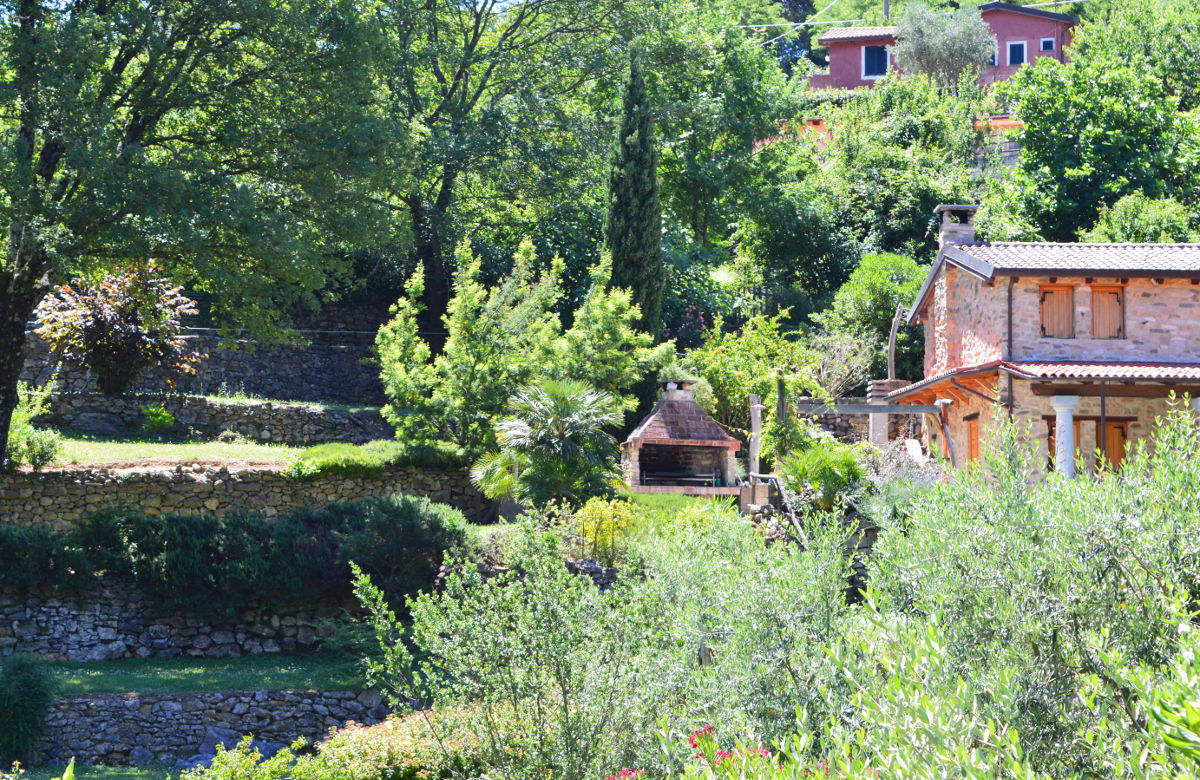 Countryside outside of Montemarcello