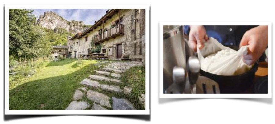 How to make Italian cheese How to make Italian cheese