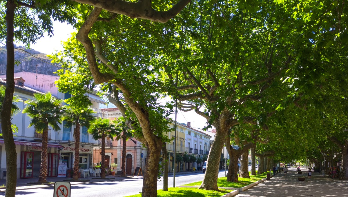 Downtown Praia a Mare