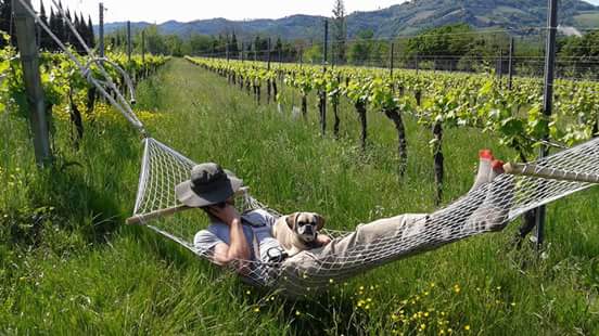 Another hard day at work on an Italian farm.