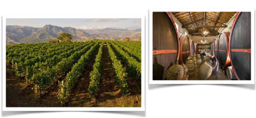 Sicilian winery Sicilian winery