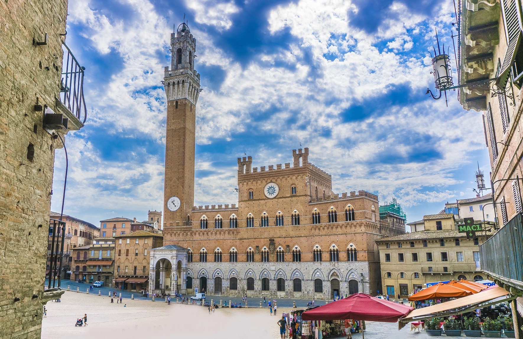 An American grandmother heads off for a new life in Italy, leaving behind ten grandchildren. This incredible story will inspire everyone to live their dreams.