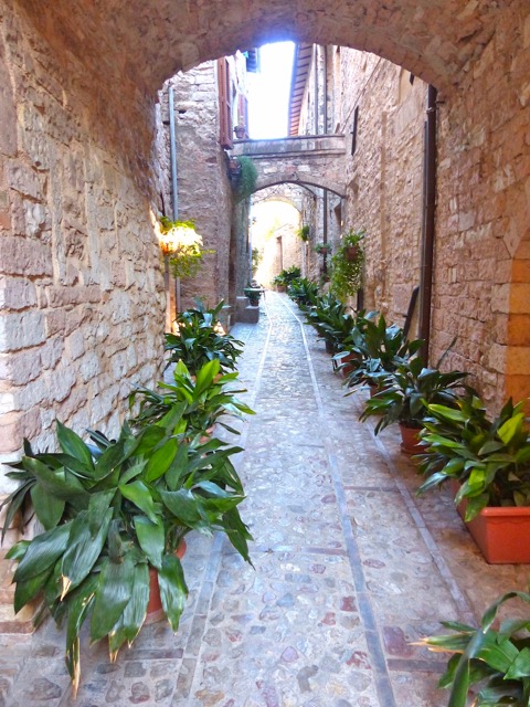 Our Lane in Spello