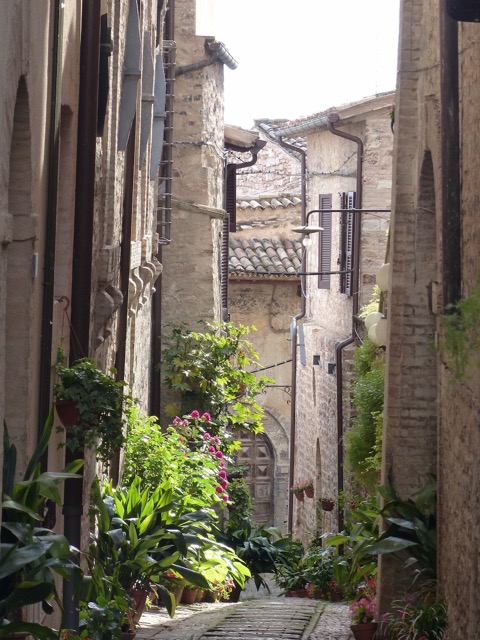 Lanes of Spello