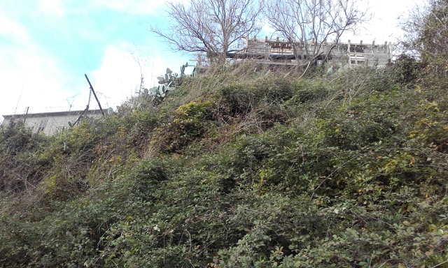 Tammy's new plot of land View of garden- Calabria