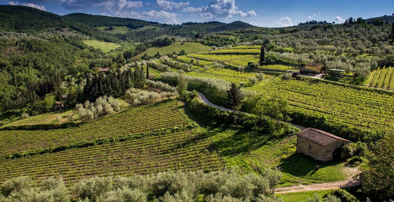 Walks and Hikes in Tuscany