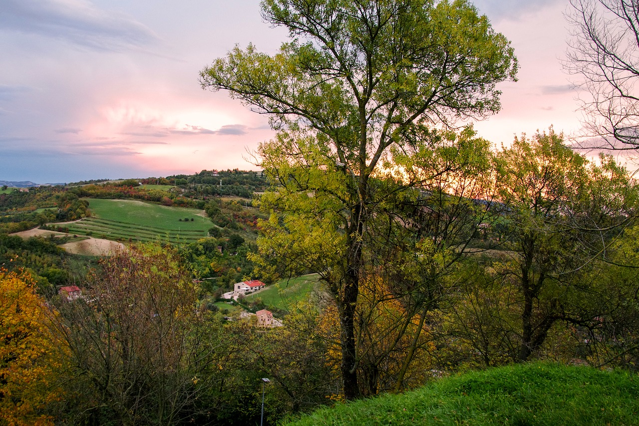 I lived in Italy for 10 years and these Italy travel books truly tell it like it is. A few great coffee table books too, full of evocative photos of...