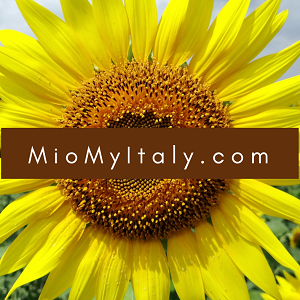 My Sardinia Restaurant Guide. The Ristorante Barbagia is the restaurant I would recommend if you are staying in or near Olbia. Great food and atmosphere